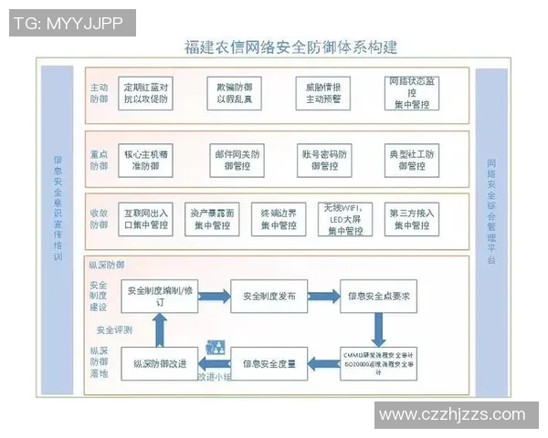 南京羽毛球队防守体系解析与战术运用探讨